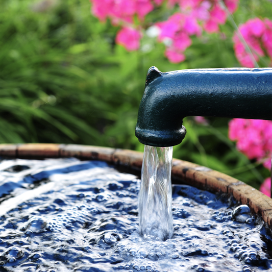 What's in Your Well Water?