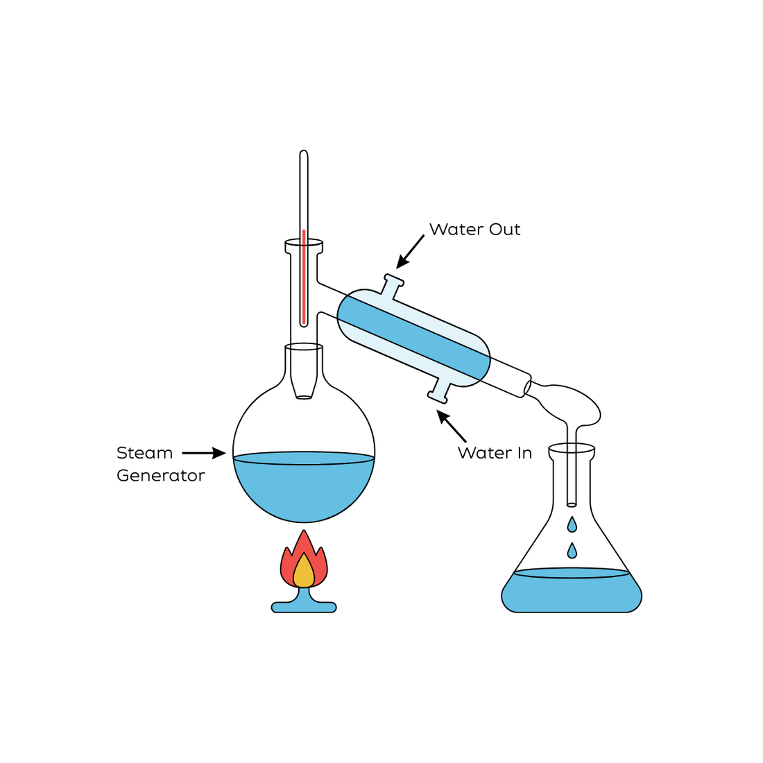 How Does Steam Distillation Work?