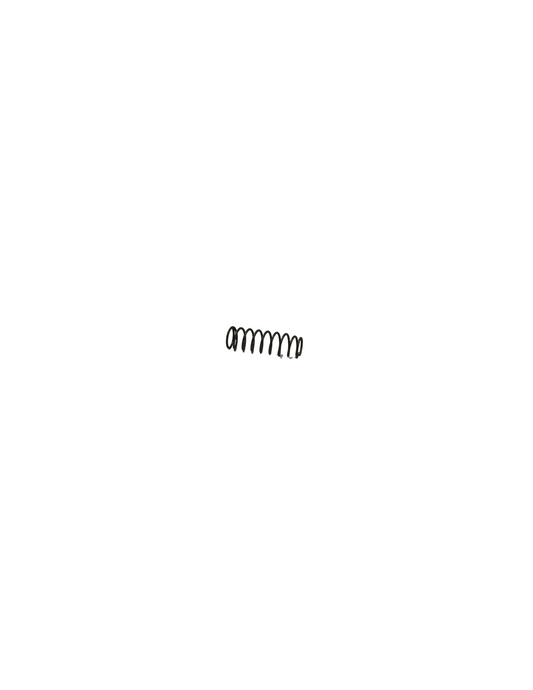 Spring, Boiling Tank Lid, SS (#080058)