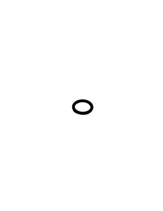 Flange O-Ring (#080176)